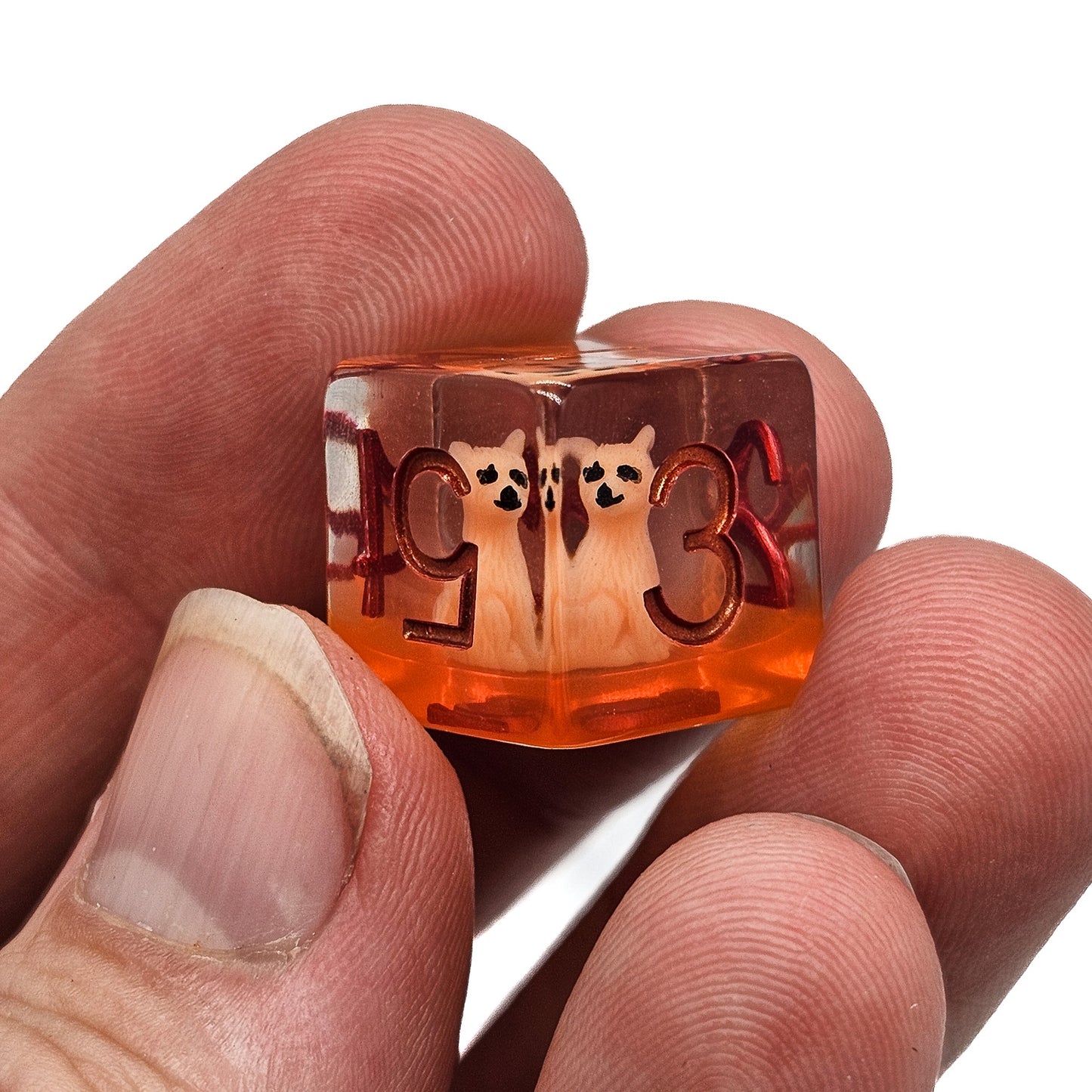 Resin Fox DND Dice Set